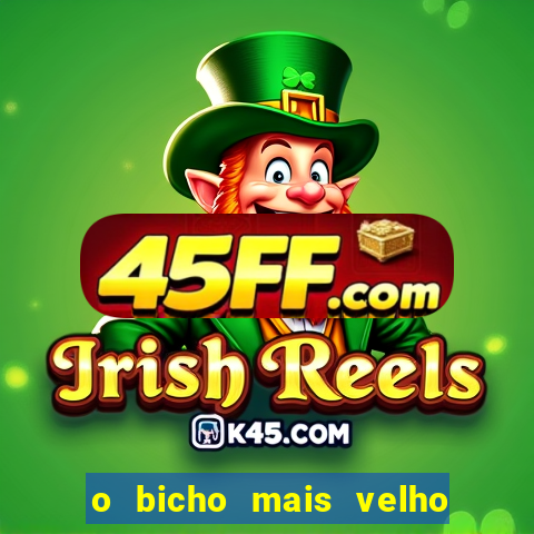 o bicho mais velho da loteria dos sonhos
